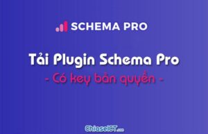 tải plugin schema pro miễn phí