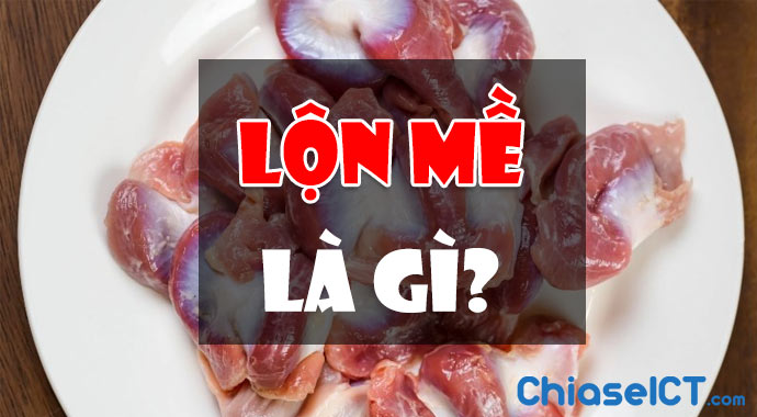 lộn mề là gì lộn mề là gì